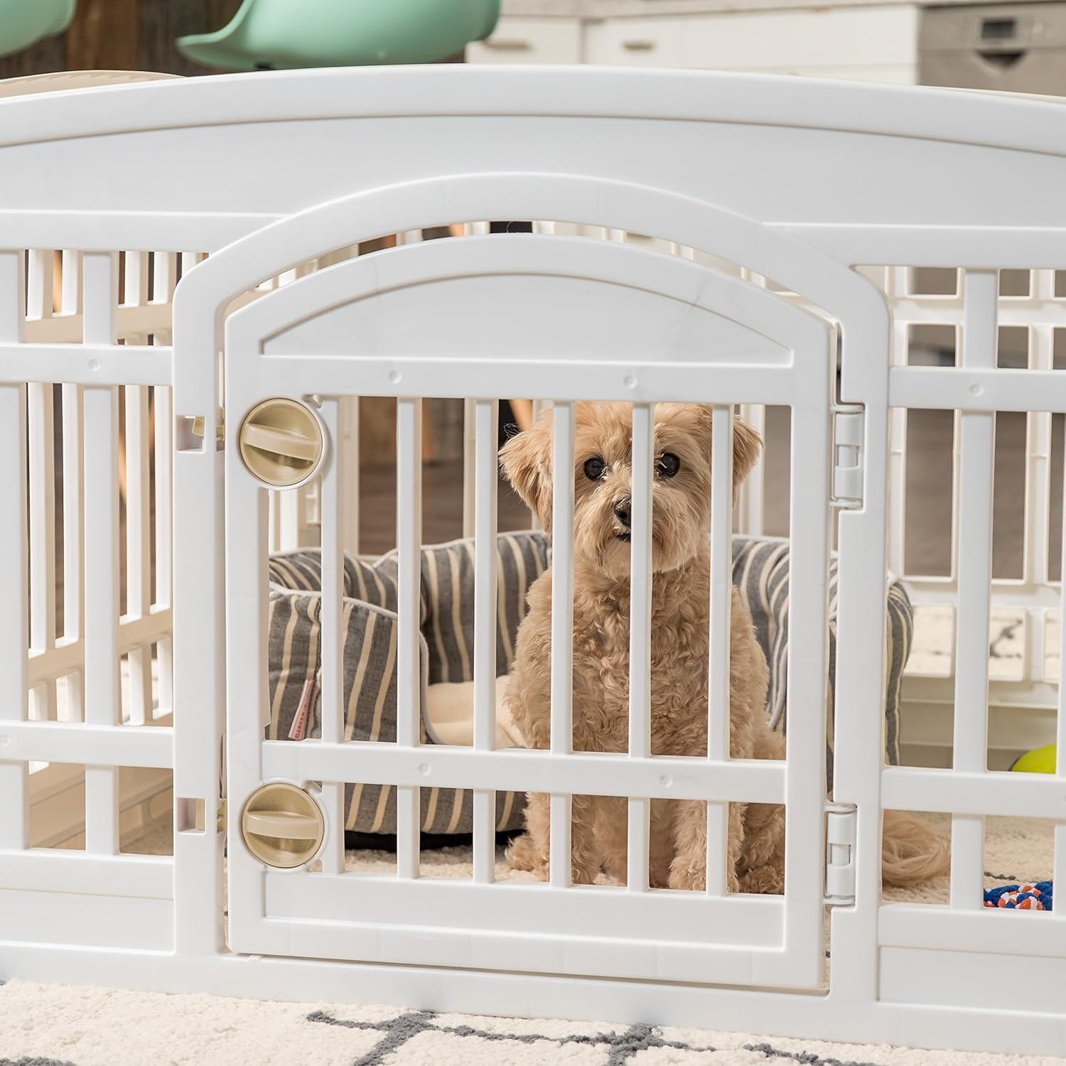 24" 4-Panel Dog Playpen with Door