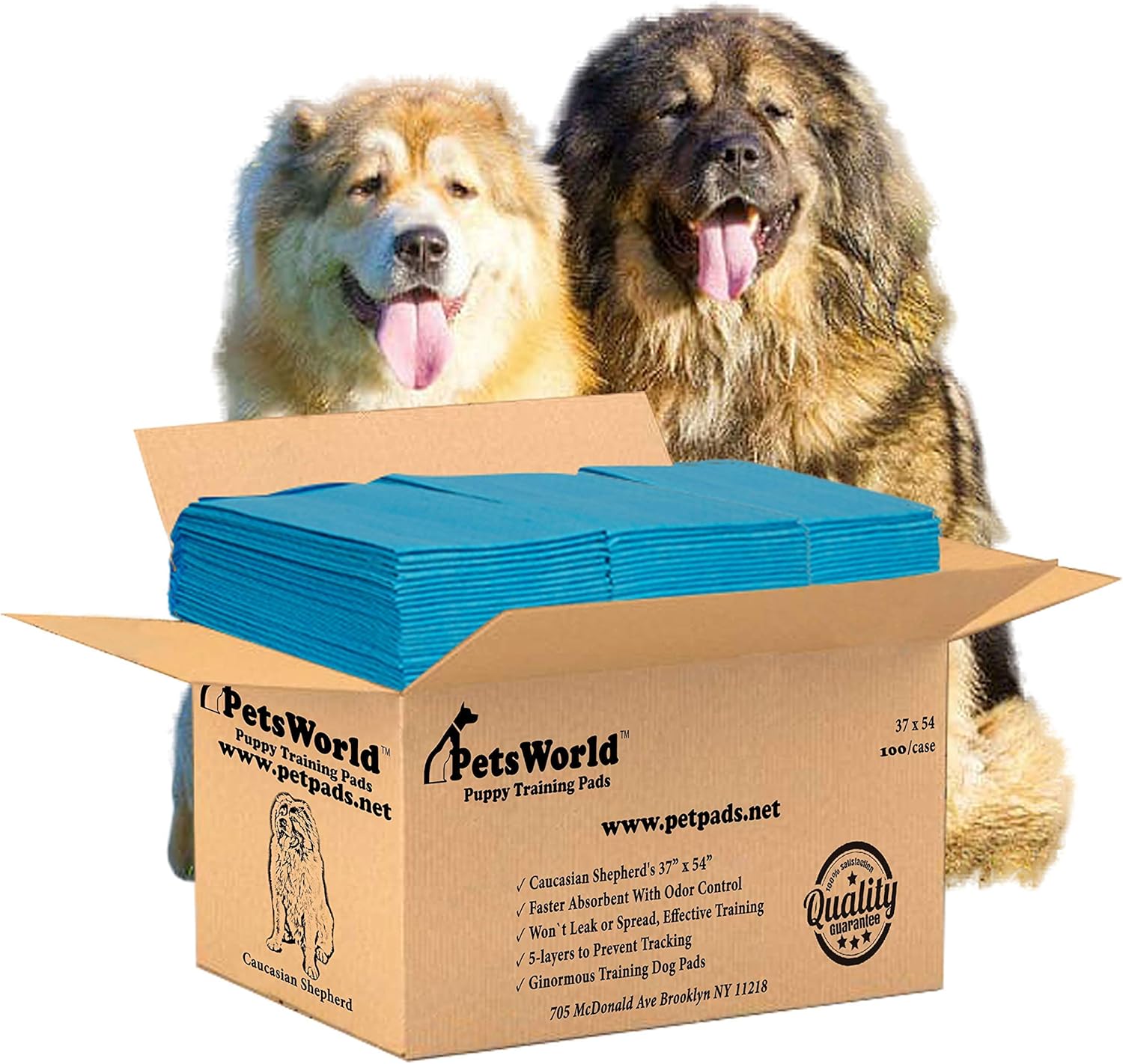 Enormous Dog Training & Potty Pads