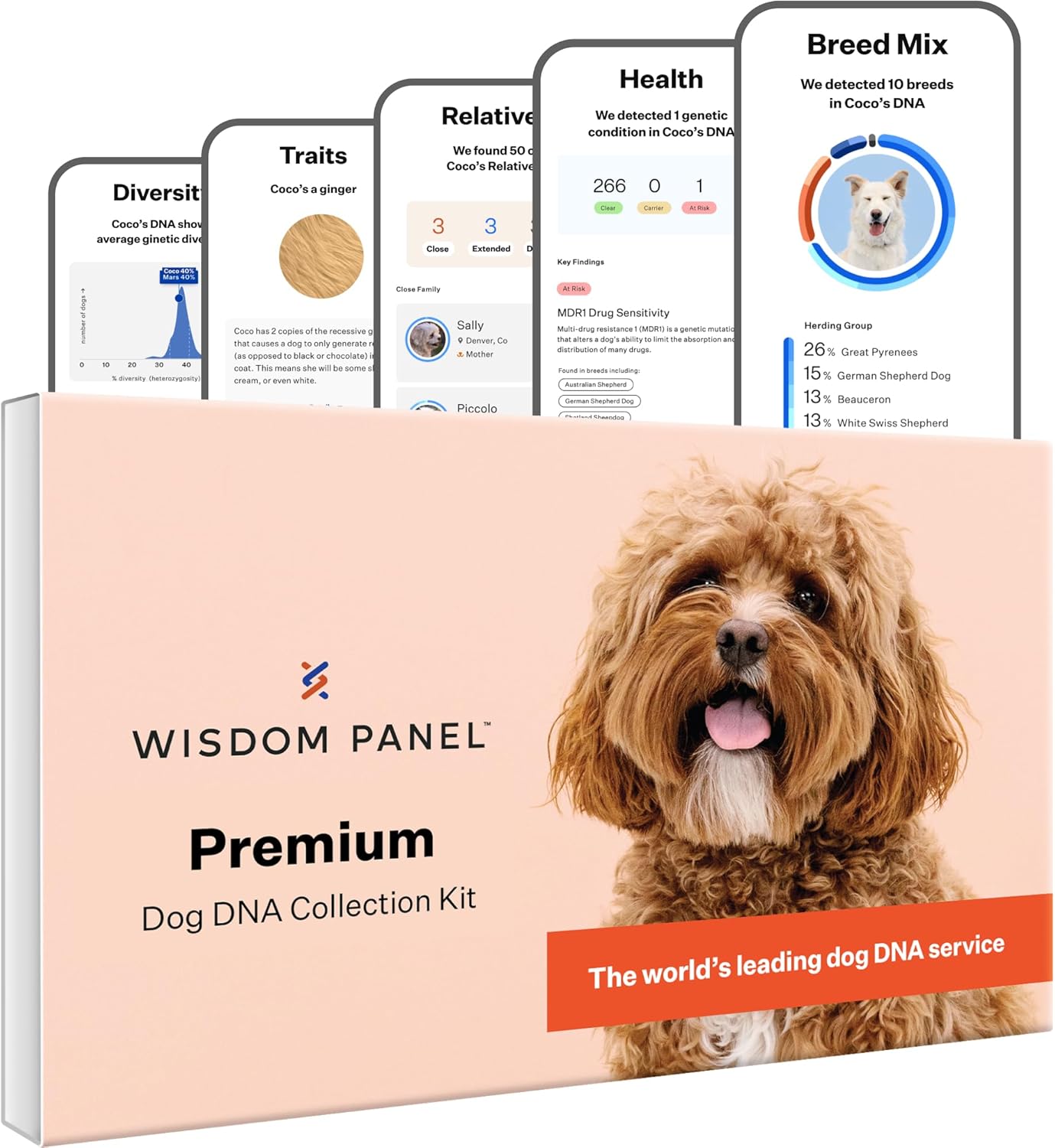 Wisdom Panel Premium Dog DNA Kit