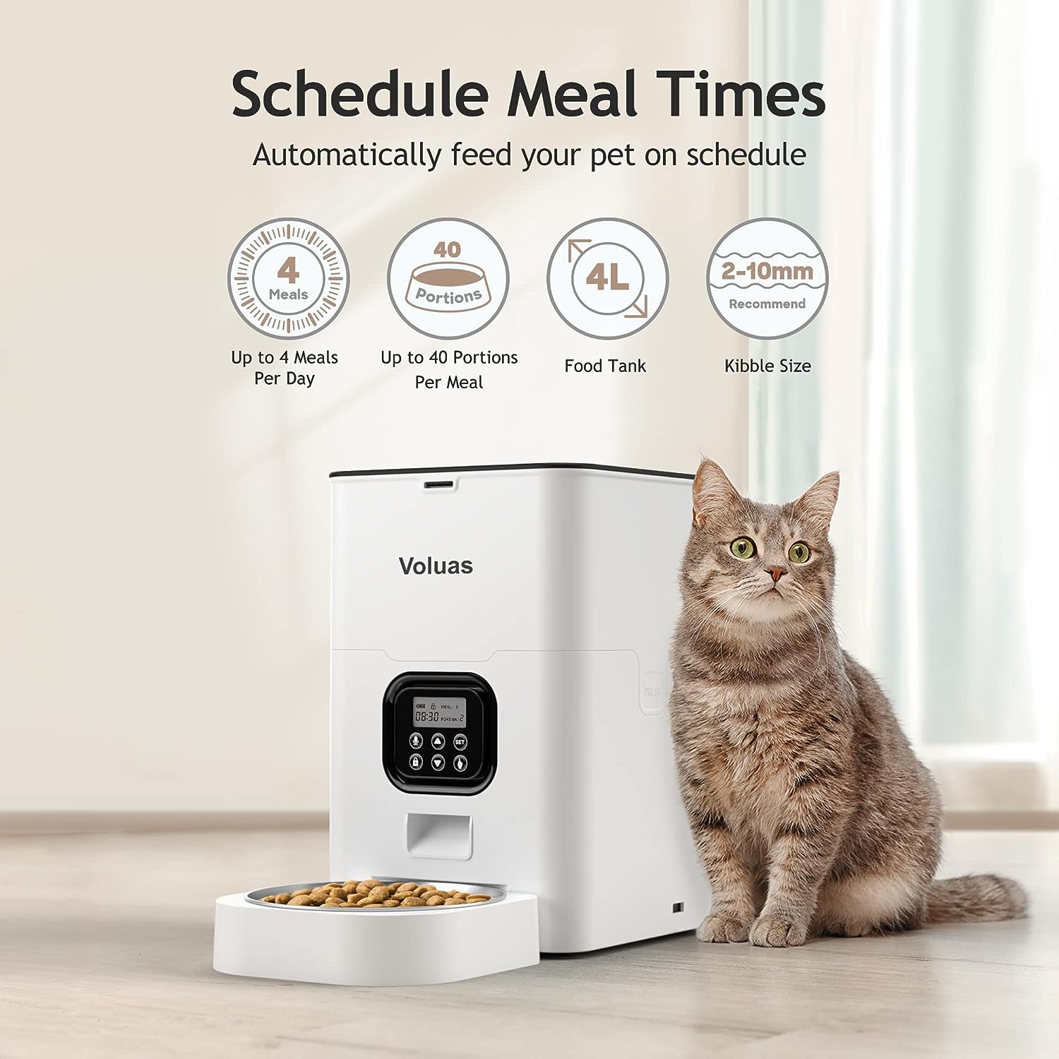 4L Automatic Cat Feeders + 309B Stainless Steel Cat Water Fountain