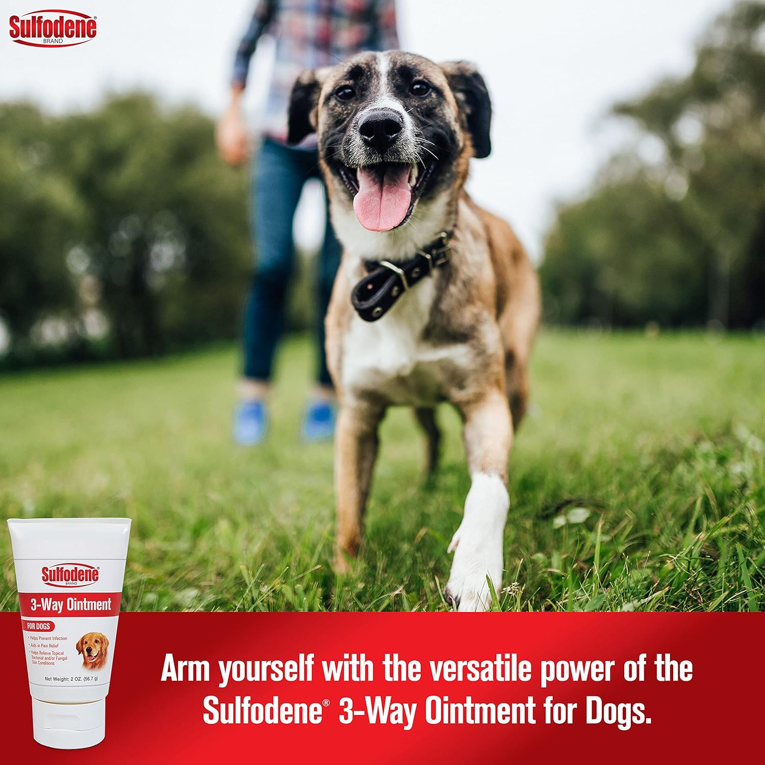 Dog Wound Care 3-Way Ointment