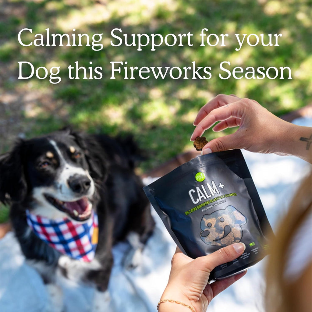  Stress Support Dog Supplement Chews