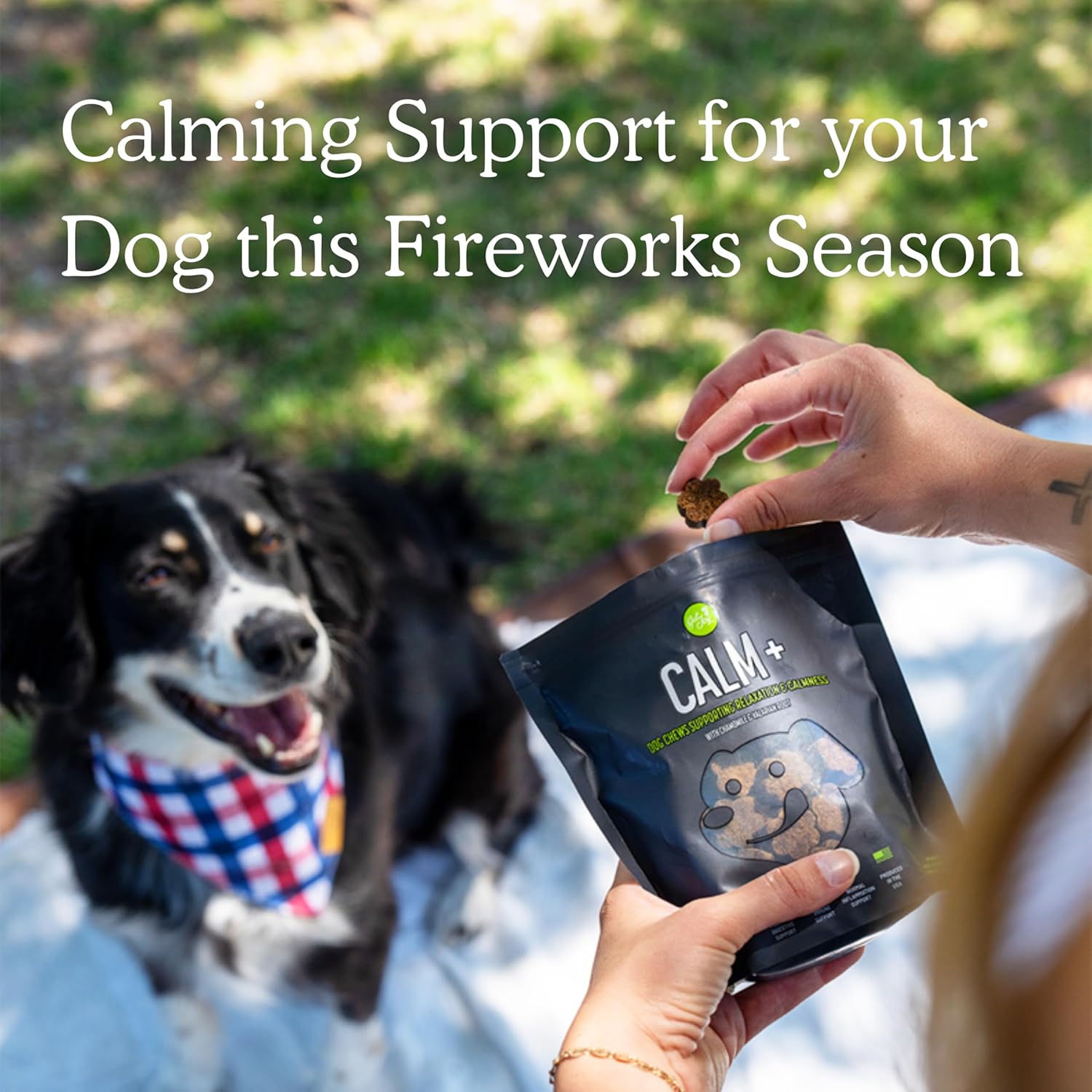  Stress Support Dog Supplement Chews