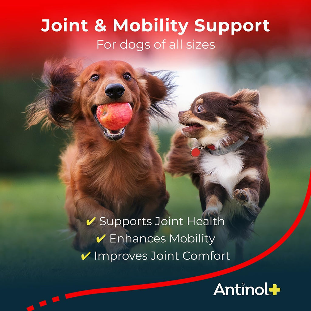 Plus, Mobility, Hip, and Joint Supplement
