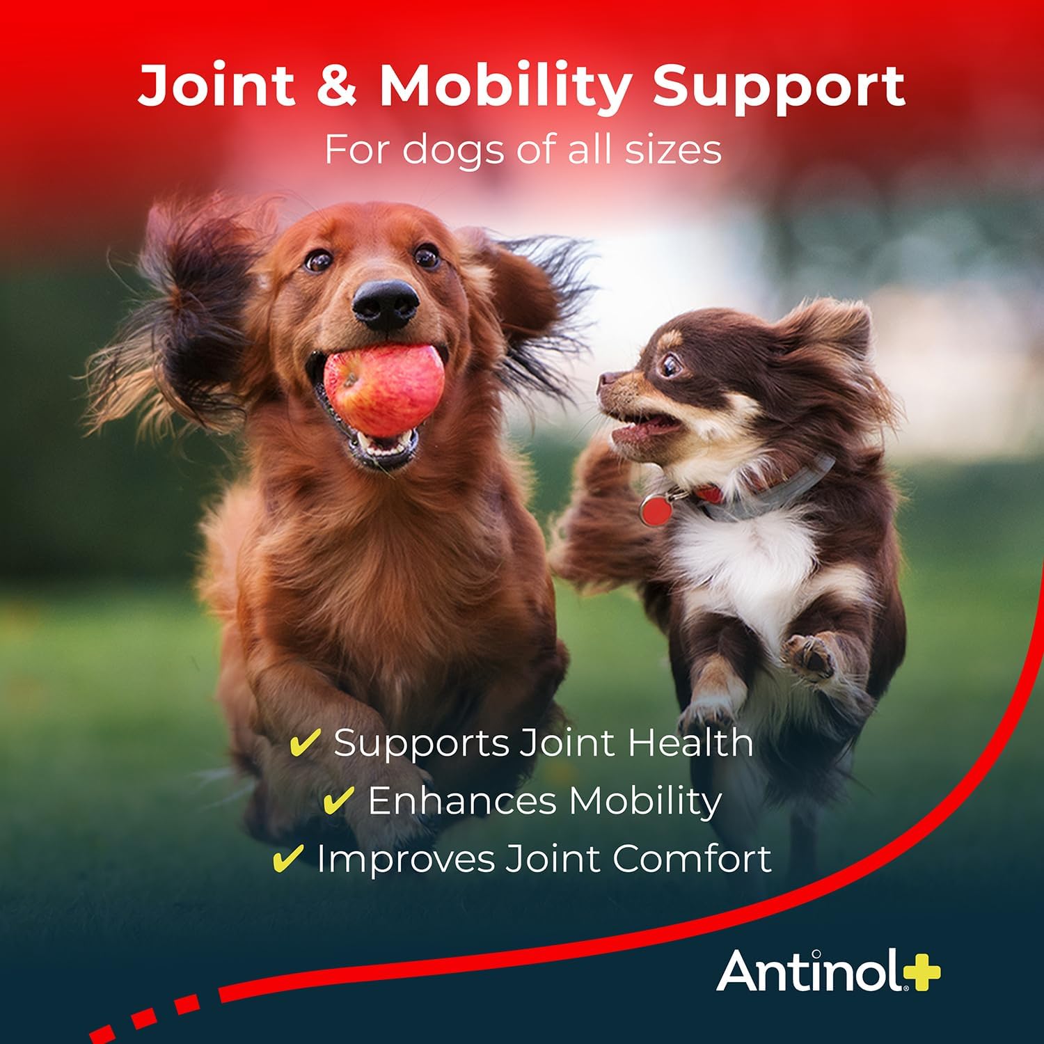 Plus, Mobility, Hip, and Joint Supplement