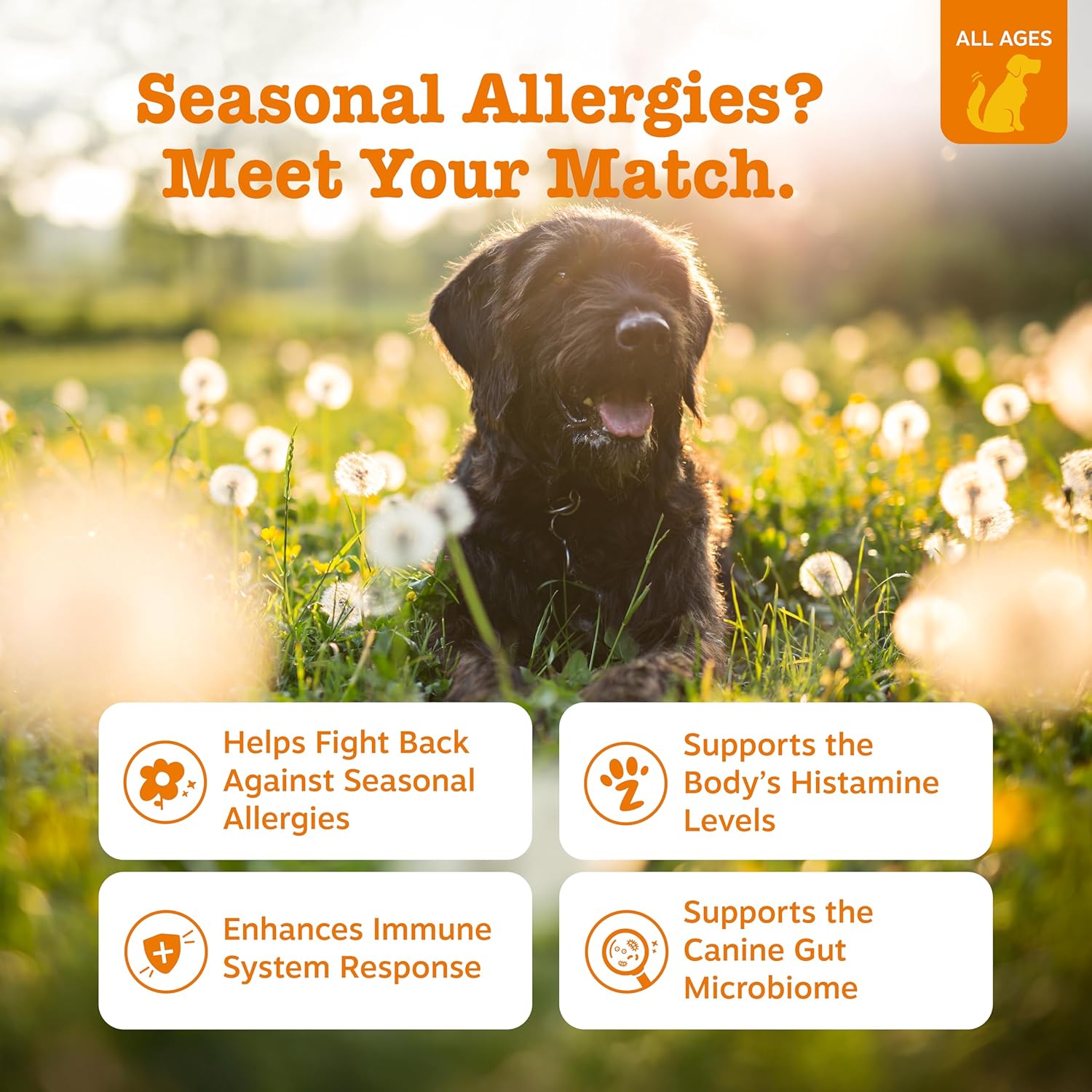 Zesty Paws Dog Allergy Relief