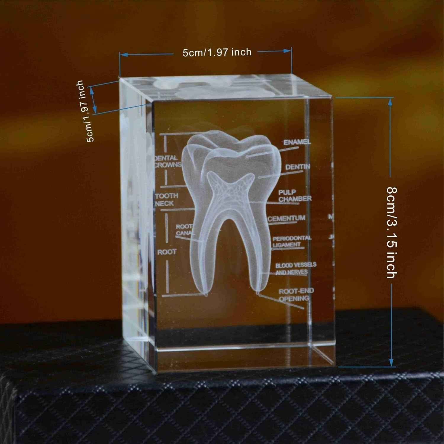 3D Human Crystal Tooth Model