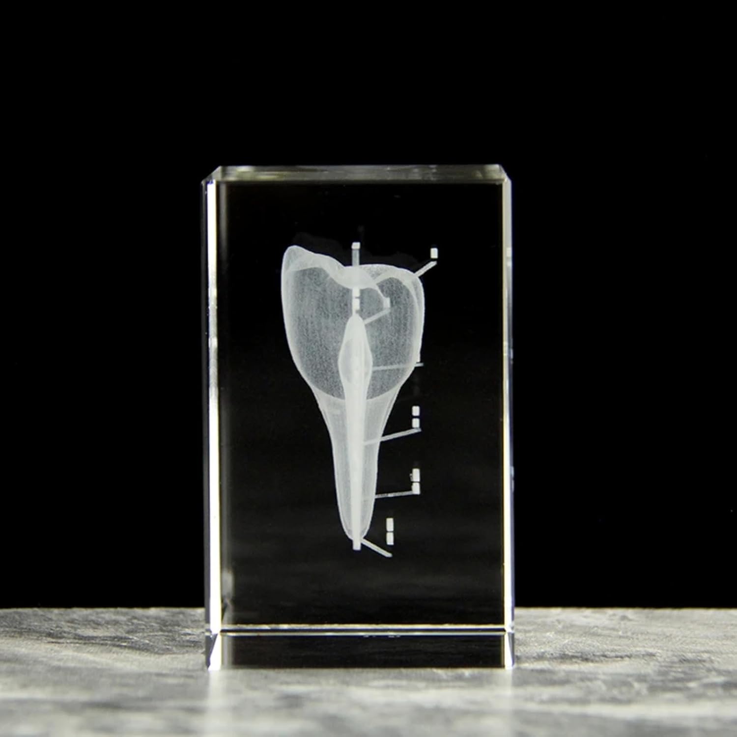 3D Human Crystal Tooth Model