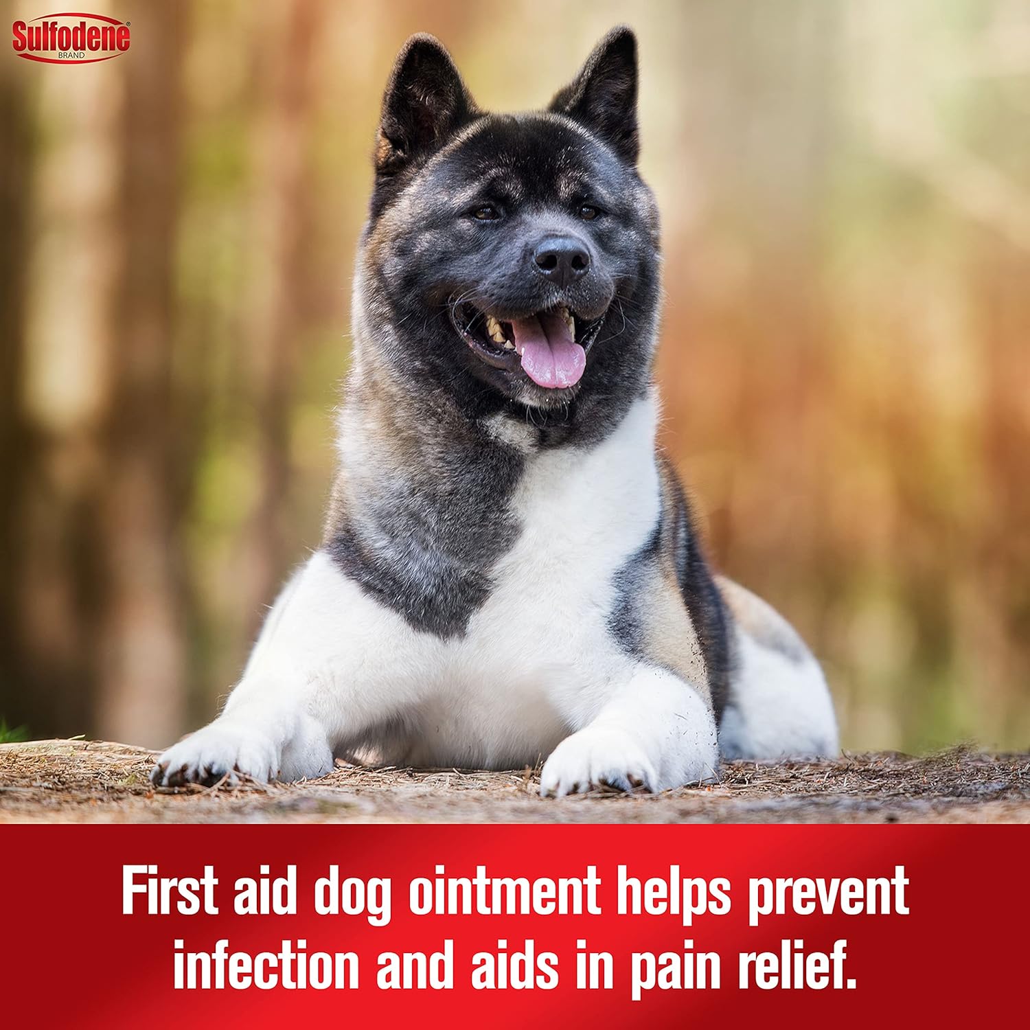 Dog Wound Care 3-Way Ointment