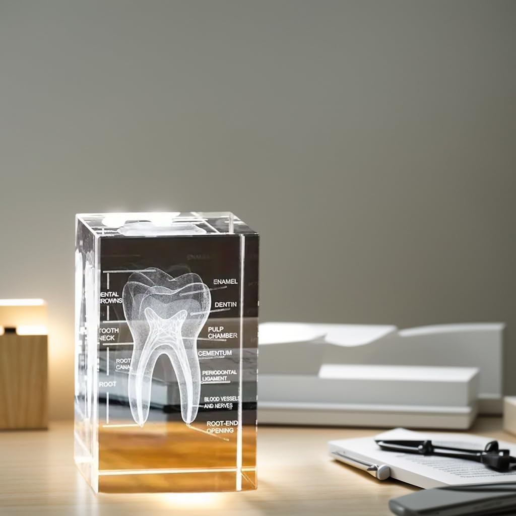 3D Human Crystal Tooth Model