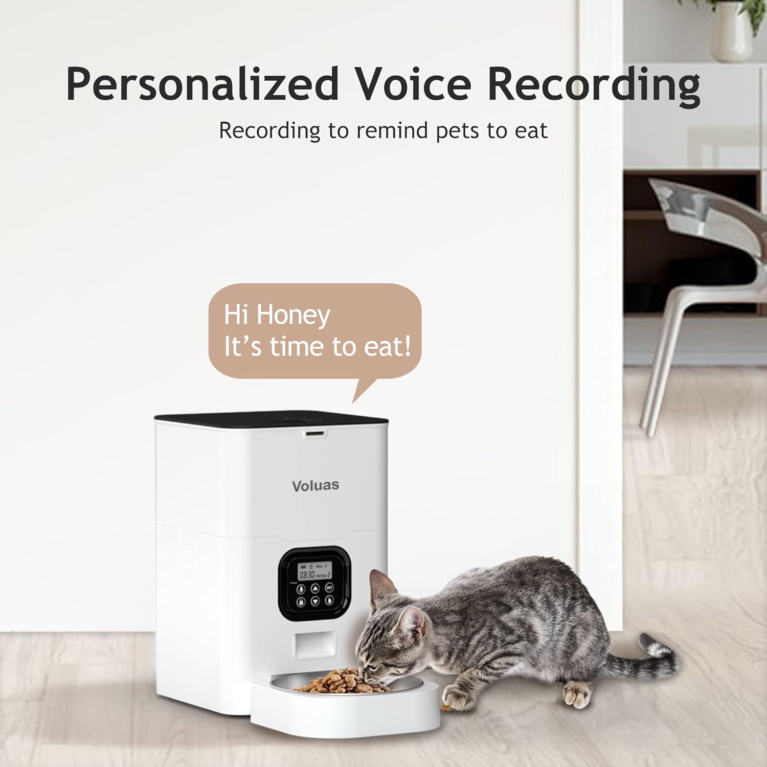 4L Automatic Cat Feeders + 309B Stainless Steel Cat Water Fountain