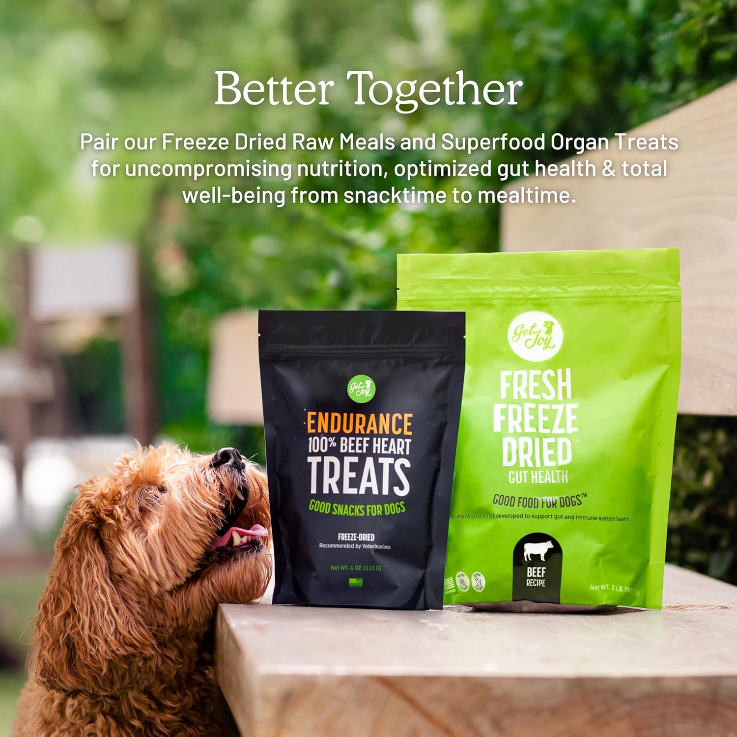 Get Joy Freeze Dried Superfood 100% Beef Kidney Dog Treats