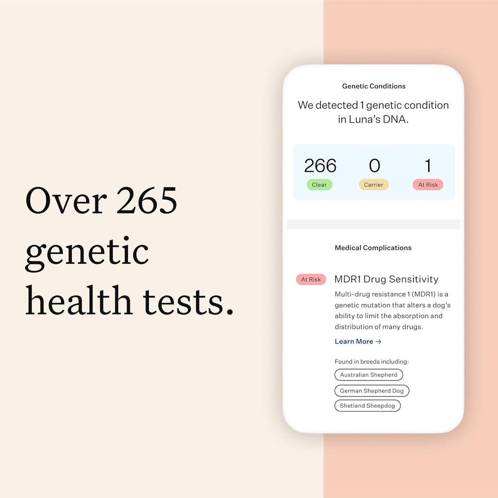 Wisdom Panel Premium Dog DNA Kit