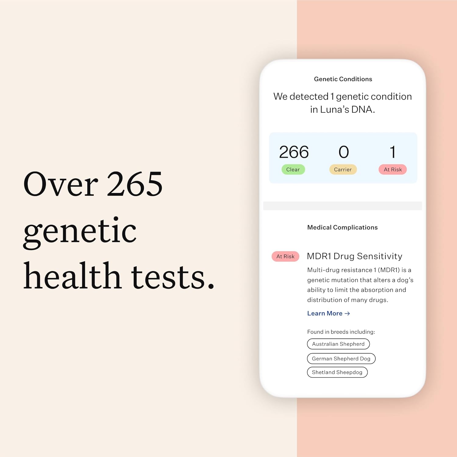 Wisdom Panel Premium Dog DNA Kit