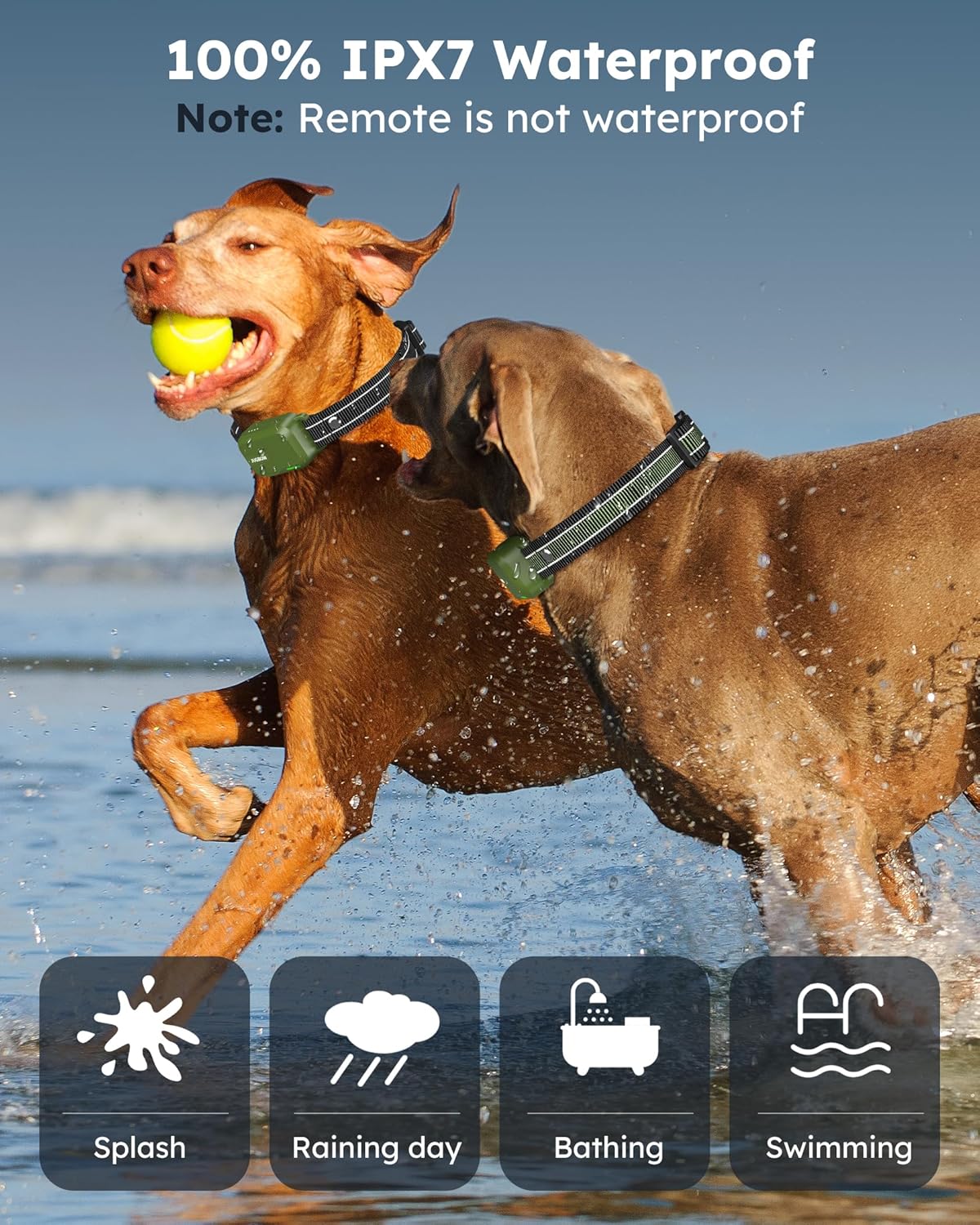 Jugbow Dog Shock Collar 2 Dogs