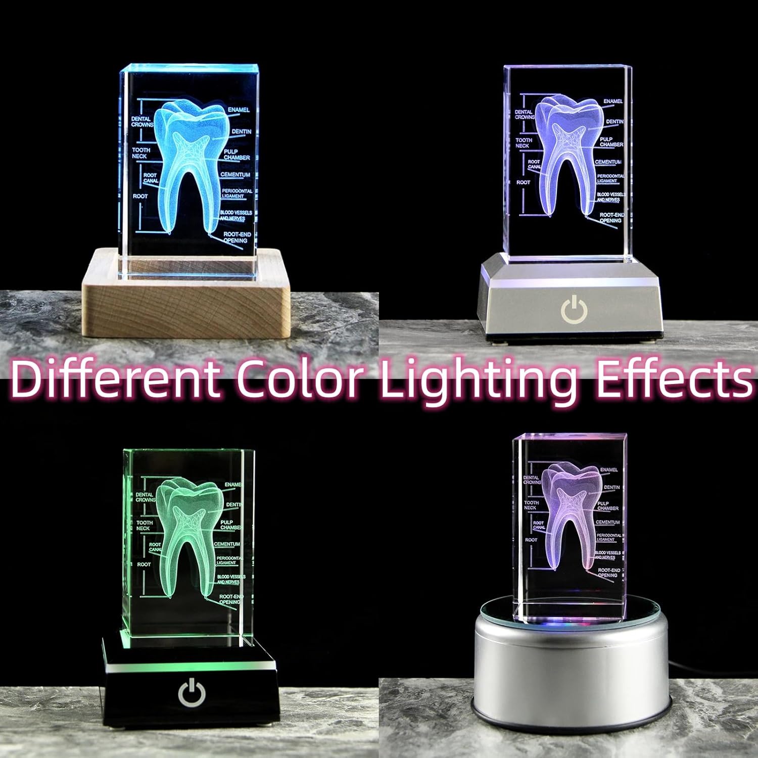 3D Human Crystal Tooth Model