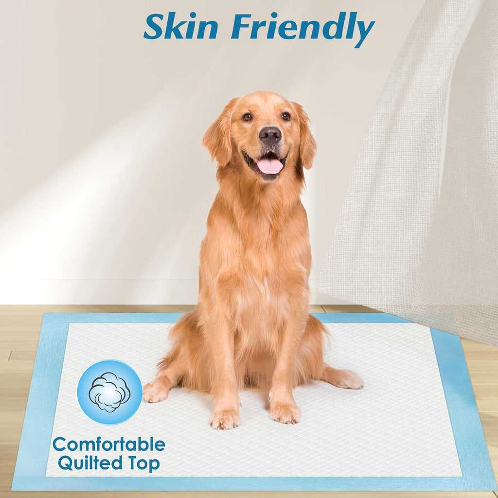 100 Count 22” x 22” Super Absorbency Disposable Underpads