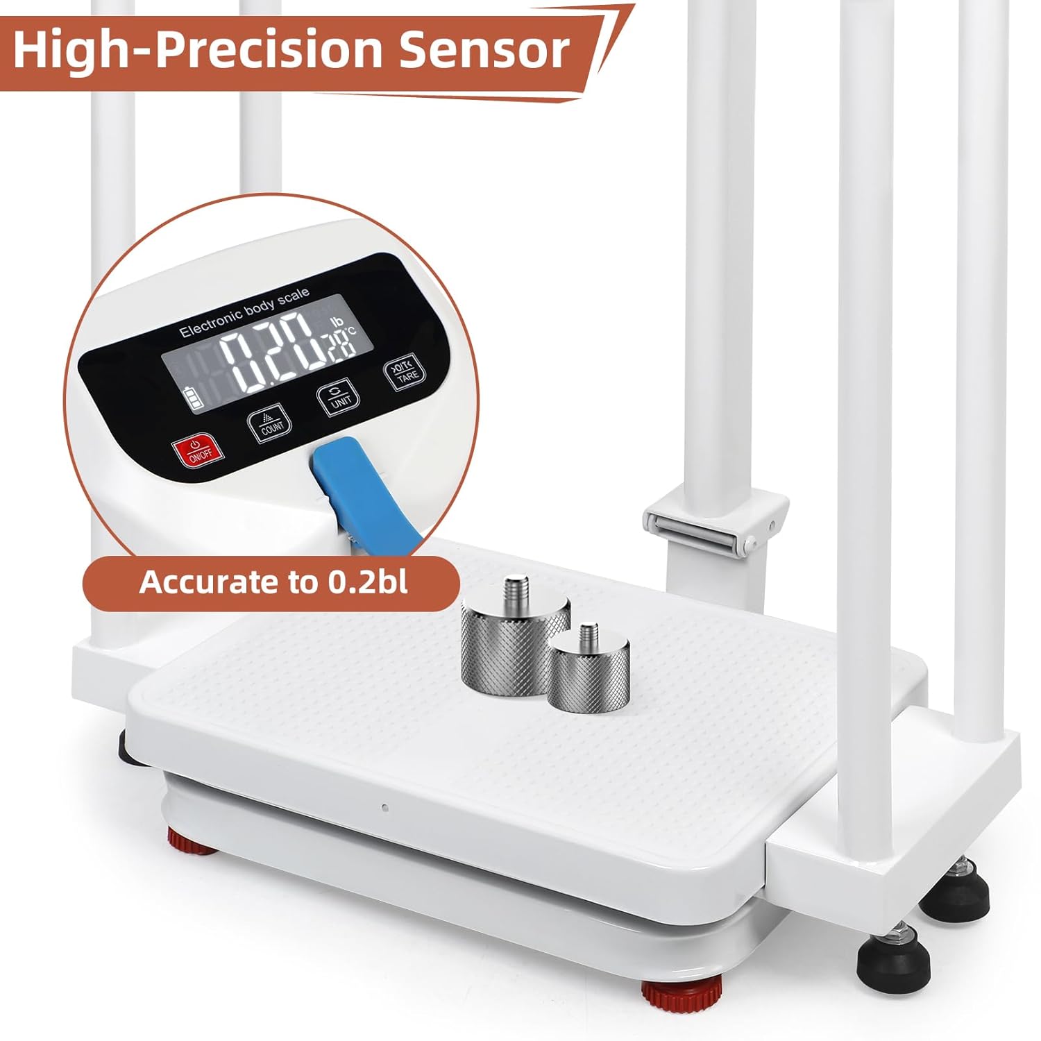 Height & Weight Scale