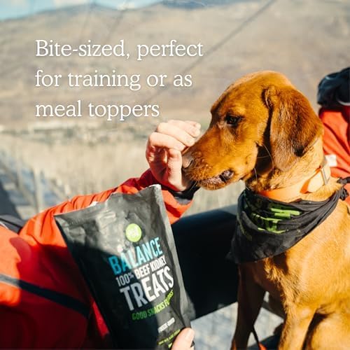 Get Joy Freeze Dried Superfood 100% Beef Kidney Dog Treats