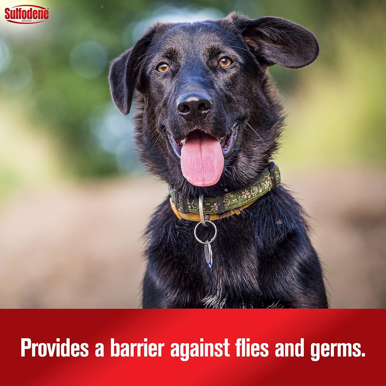 Dog Wound Care 3-Way Ointment