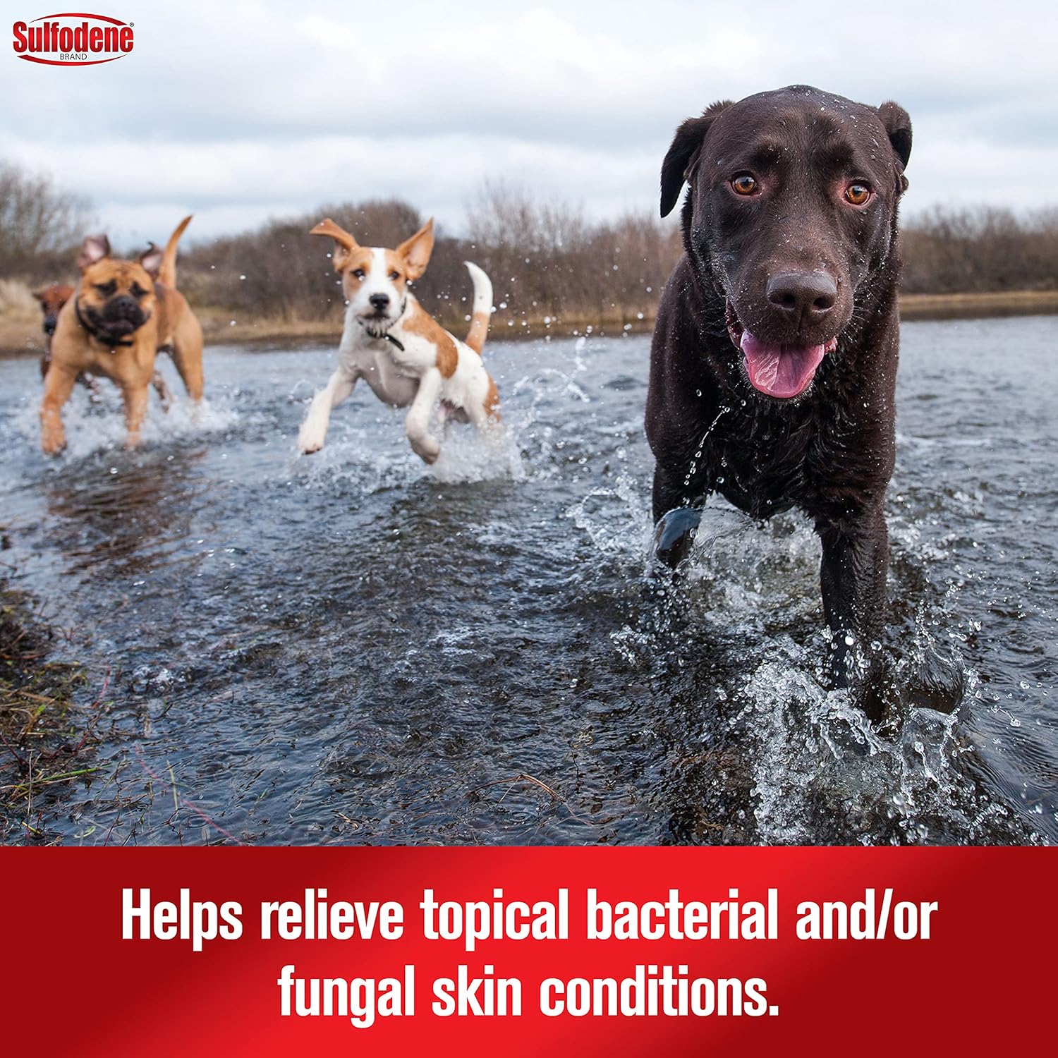 Dog Wound Care 3-Way Ointment
