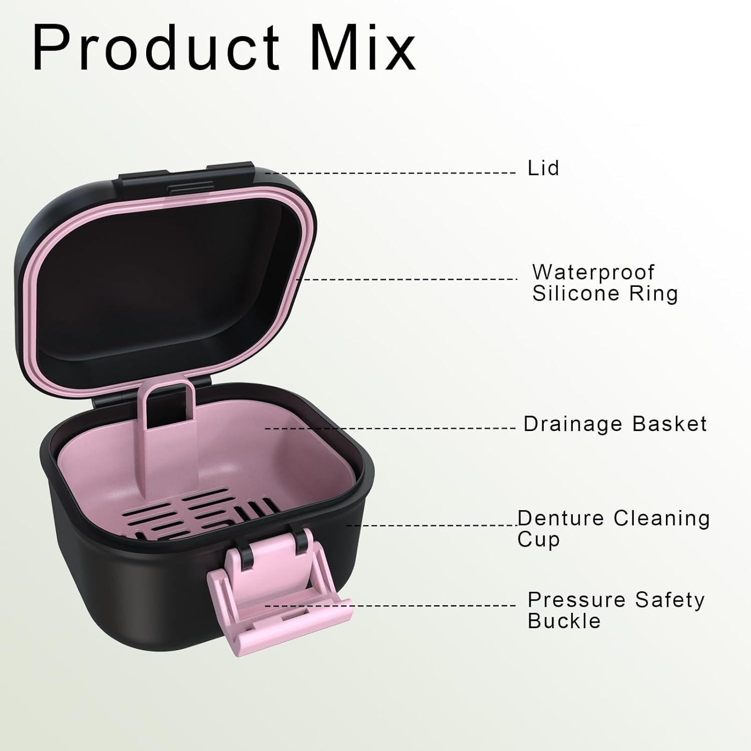 Denture Case
