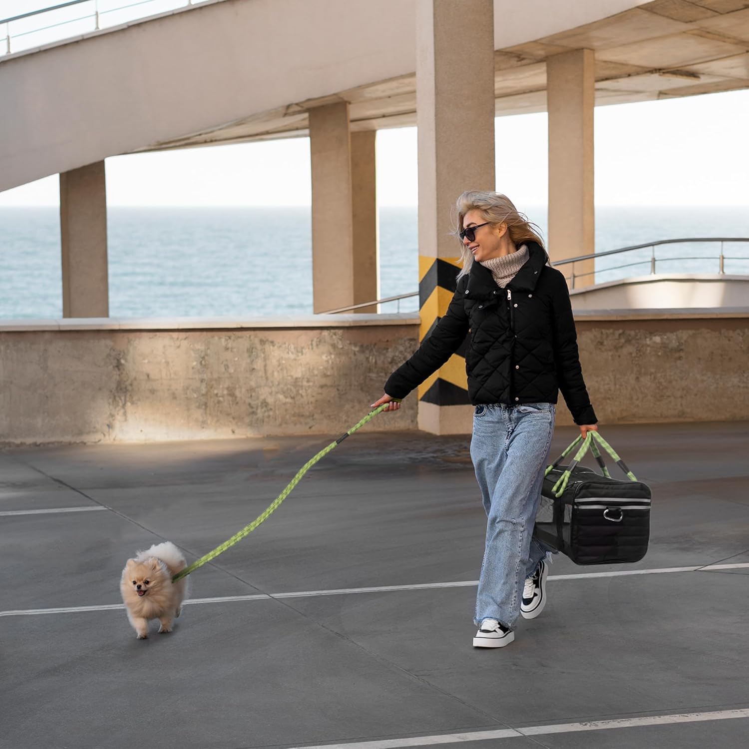 TSA Airline Approved |Soft Sided Pet Carrier
