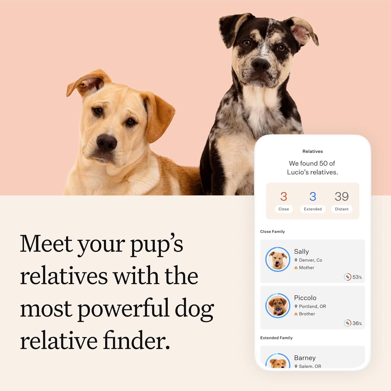 Wisdom Panel Premium Dog DNA Kit