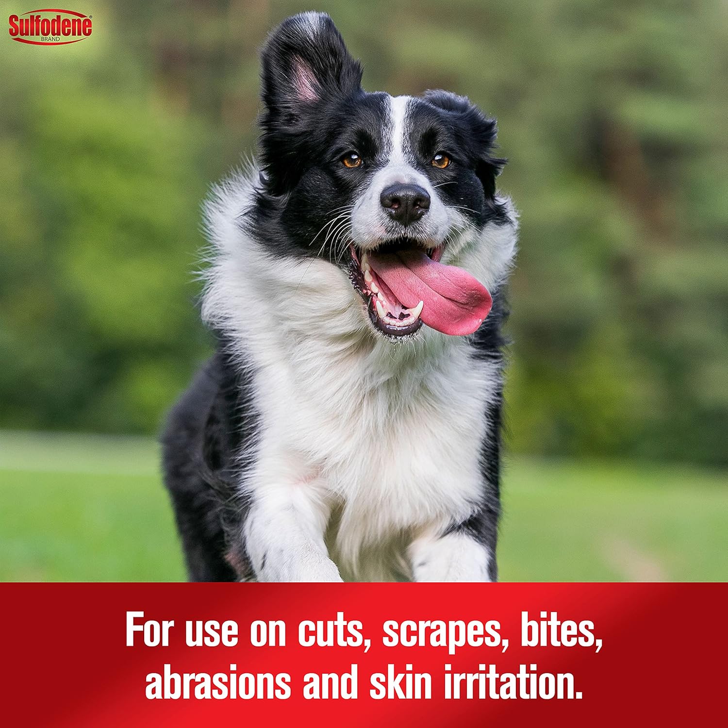 Dog Wound Care 3-Way Ointment