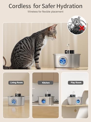 4L Automatic Cat Feeders + 309B Stainless Steel Cat Water Fountain