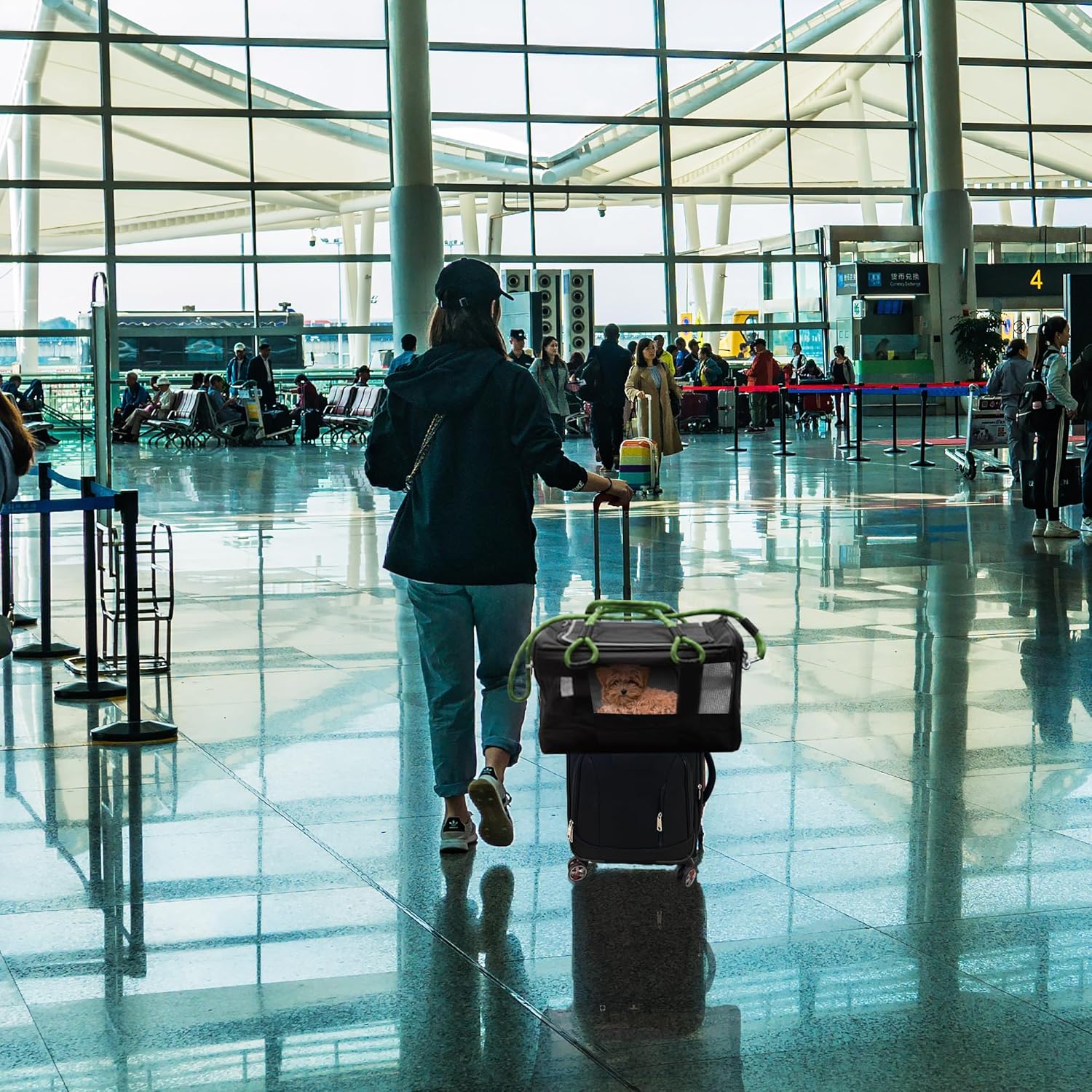 TSA Airline Approved |Soft Sided Pet Carrier