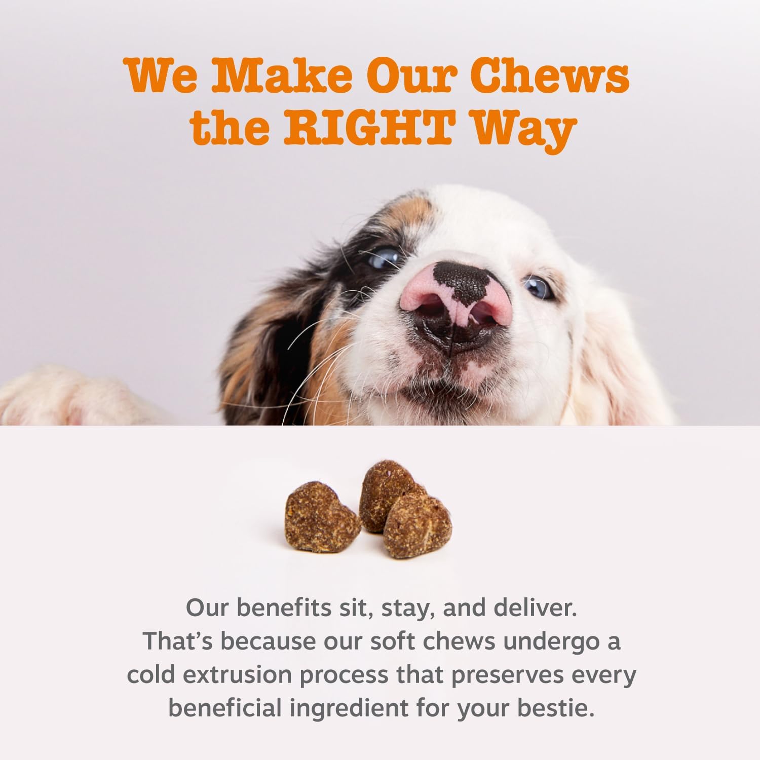 Zesty Paws Dog Allergy Relief