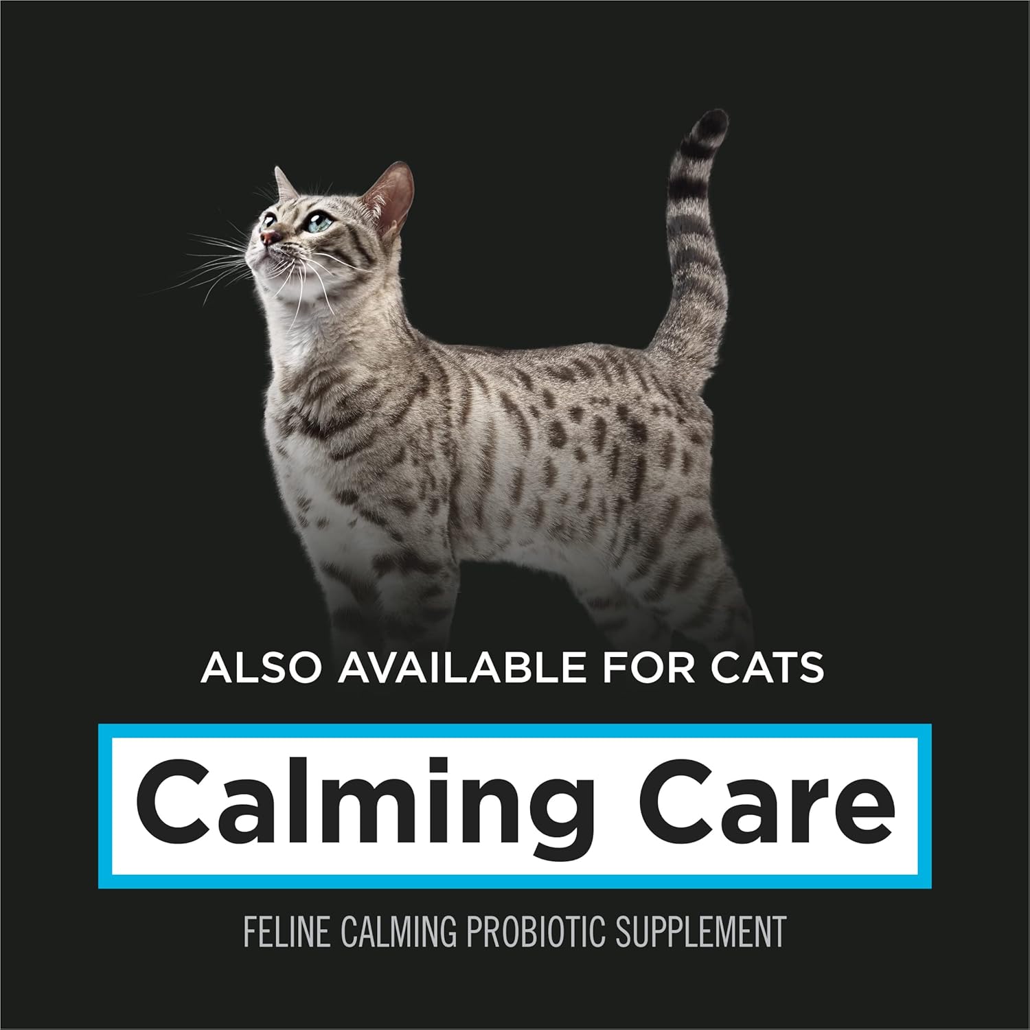 Purina Pro Plan Veterinary Supplements Calming Care